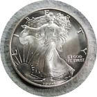 elf Usa Silver Eagle One Dollar 1990