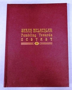 Sarah McLachlan ~ 1993 Fumbling Towards Ecstasy Hardbook Fold Out Book CD NM - Picture 1 of 5
