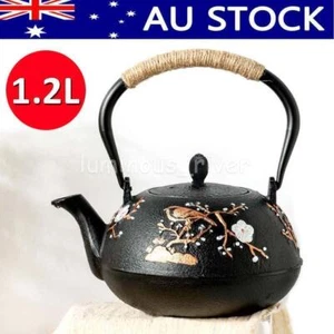 1200ml Cast Iron Tea pot Chinese Style Water Kettle Removable Strainer Filter AU - Picture 1 of 12