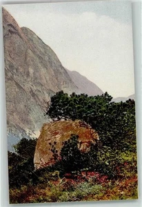 39427563 - Arznei Pflanzen Folge VI Zwergkiefer Latsche Kraeuter - Bild 1 von 2