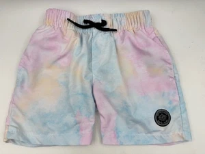 Brooklyn Cloth Boys Toddler Swim Shorts 4T Trunks Ombré Pastel Small - Picture 1 of 6