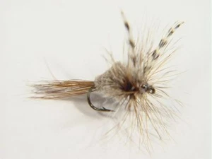1 x mouche irrésistible H10 fliegen mosca flies - Imagen 1 de 1