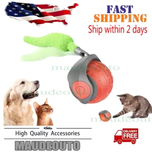 Speedy Tail 2.0,Speedy Tail Cat Toy,Speedy Tail 2.0 Cat Toy Automatic Moving Toy - Picture 1 of 6