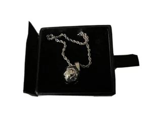 Haraves Globe pendant with chain Silver plated New boxed - Picture 1 of 24