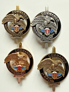 Brevet commando Aguerrissement FORCES SPECIALES PARA 2 RPIMA Lot De 4 Insignes - Imagen 1 de 2