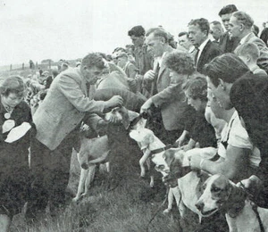 Lakeland Trailhound Hound Trailing Hound Racing 1961 2 Page Photo Article F589 - Picture 1 of 5