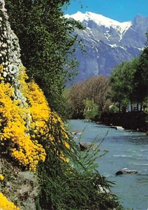 Postcard Germany Bad Ragaz. In the Tamina with Falknis - Picture 1 of 2