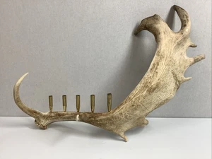 Natural Deer Antler Handcrafted Taper Candle Holder / Candelabra. - Picture 1 of 16