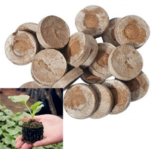 Kokos Quelltabletten Ø 36 mm Anzuchterde Anzuchtplatte Pflanzerde Saaterde - Bild 1 von 12