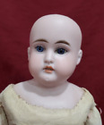 Pretty 14' Antique Geman Bisque Turned Shoulder Head Doll by Armand Marseille