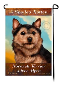 A Spoiled Rotten Black and Tan Norwich Terrier Lives Here - Picture 1 of 1