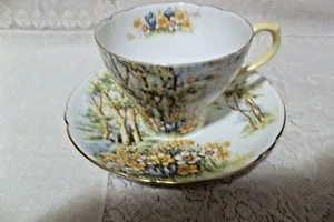SHELLEY CUP & SAUCER SET "DAFFODIL TIME" FINE BONE CHINA ENGLAND. - Picture 1 of 1