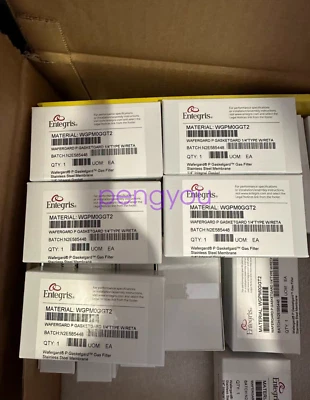 WGPMOGGT2 Entegris Filter Brand New DHL or FedEx - Image 1 of 2