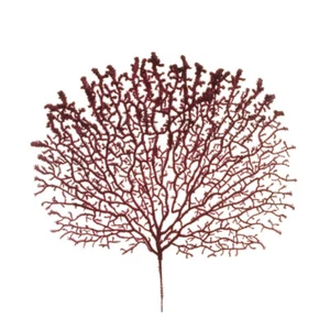 Ramo Corallo Floccato D. 45 Decorazione Matrimonio Linea Mare - Imagen 1 de 1