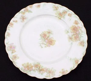 Vintage HAVILAND Limoges France COUNTESS Pattern 7 1/2"d Salad Plate - Picture 1 of 1