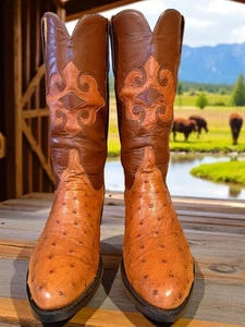 Lucchese Blk Label El Paso Handmade Pumpkin FQ Ostrich L6203.63 8.5-EE 811-22421 - Bild 1 von 10