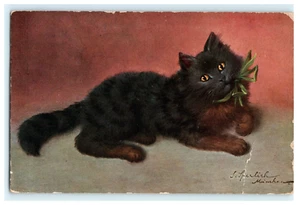 1909 Black Cute Adorable Cat Artist Signed - Posted - Damaged - Picture 1 of 2