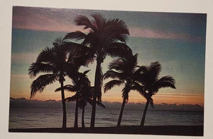 Una postal del amanecer de Florida - Imagen 1 de 2