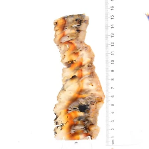 Angel Wing Jasper 3 x Slabs 407g Pack, Cabbing, Lapidary, Rough Rock, Mineral - Picture 1 of 3