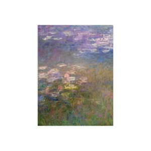 Stampa su Tela su Carta Poster o Quadro Claude Monet Water Lilies I - Imagen 1 de 2