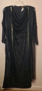 Übergröße Verkleidung Velours 18/20 Witchy Gothcore Flr Länge Schleier Halloween  - Bild 1 von 17