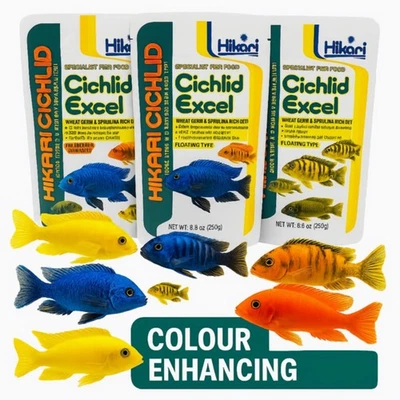 3x Hikari Cichlid Excel 250g Floating Mini Pellet Spirulina Wheat Germ Tropical - Image 1 of 3
