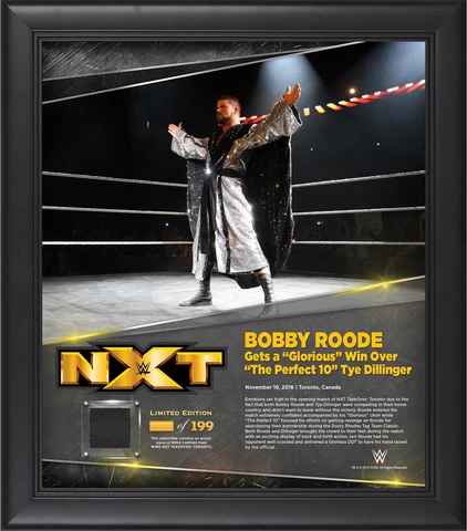 Robert Roode WWE Framed 15" x 17" NXT TakeOver: Toronto Collage Cover
