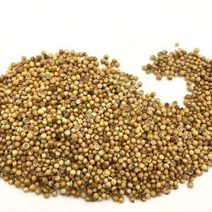 Coriander, Coriandrum sativum, All Natural Whole Seed ~ Schmerbals Herbals - Picture 1 of 8