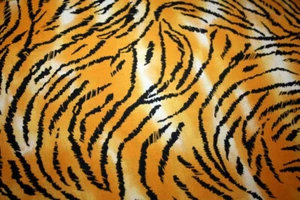 ANIMAL SKIN PRINTS -TIGER III - 100% COTTON FABRIC - Picture 1 of 3
