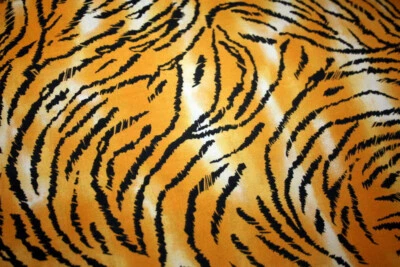 ANIMAL SKIN PRINTS -TIGER III - 100% COTTON FABRIC - Image 1 of 3