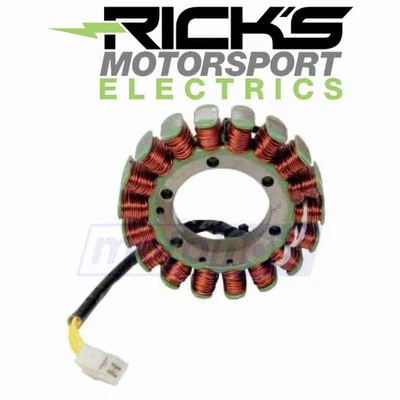 Ricks Motorsport Stator for 1994 Arctic Cat Cheetah 550 - Electrical hl Foto 1 de 4