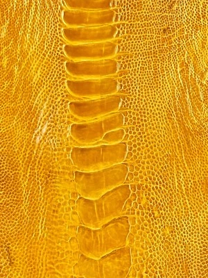 PIEL DE PIERNA DE AVESTRUZ GENUINA PIEL CUERO EXÓTICO Foto 1 de 4