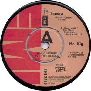 Mr Big - Senora - Used Vinyl Record 7 - Promo - N5870z - Picture 1 of 1