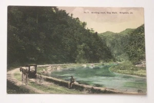 1910s Winding Road Bog Walk Buggy Kingston Jamaica Surrey Co Postcard - Picture 1 of 1