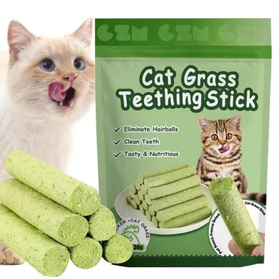 ✨6X Cat Grass Teething-Stick Pet Snack Hairball Removal Teeth ₪ Cleaning Q5G9 - Image 1 of 4