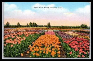 NELIS TULIP FIELDS, HOLLAND, MICHIGAN - Old Postcard H4 - Picture 1 of 2