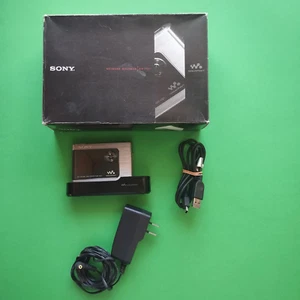Sony Walkman NW-HD1 Silver (20 GB) Digital Media Player Used - Picture 1 of 14