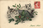 PC CATS, JOYEUX NOEL, TWO CATS WITH MISTLETOE, Vintage Postcard (b47217)