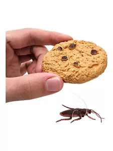 Cookie Surprise Soft Plastic Prank Toy with Cockroach Great for Gags - Picture 1 of 11