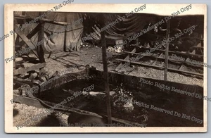 Antike RPPC Zirkus oder Karneval Pool mit Schwimmer oder Taucher Echt Foto Postkarte - Bild 1 von 14