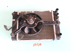 RADIATORE KYMCO PEOPLE S 300 PEOPLE S 250 - Imagen 1 de 3