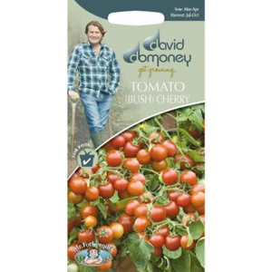 Mr FothergillsDavid Domoney Bush cherry Tomato Seeds - Picture 1 of 1