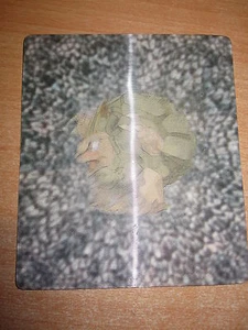 POKEMON NEUF PROMO KELLOGG'S MAXI 3D 2000 N/MINT 2/10 GRAVALANCH/GROLEM FRANCAIS - Picture 1 of 2