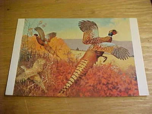 K Vintage unbenutzte Hahn Henne Fasan Postkarte - Bild 1 von 2