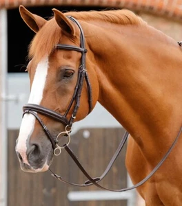 Premier Equine Delizioso Briglia Snaffle - Nero Completo - Foto 1 di 4