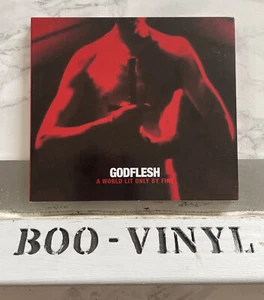 Godflesh - A World Lit Only By Fire industrial metal cd album Ex / Ex condition  - Imagen 1 de 2