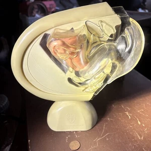 Vintage antica vagina modello medico ortofarmaceutico co raritano new jersey - Foto 1 di 24