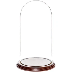 Plymor 5.5" x 11" Glass Display Dome Cloche (Dark Mahogany Veneer Base) - Picture 1 of 1