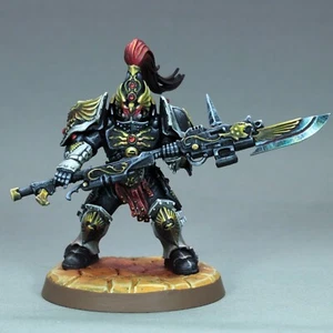 bemalte Hüterwache Miniatur Adeptus Custodes NMM WH 40K Wächter Speer OSL - Bild 1 von 8