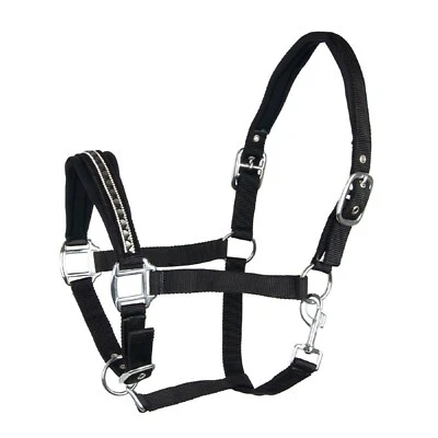 Halfter -Shelly- mit Strasssteinen schwarz - Bild 1 von 3